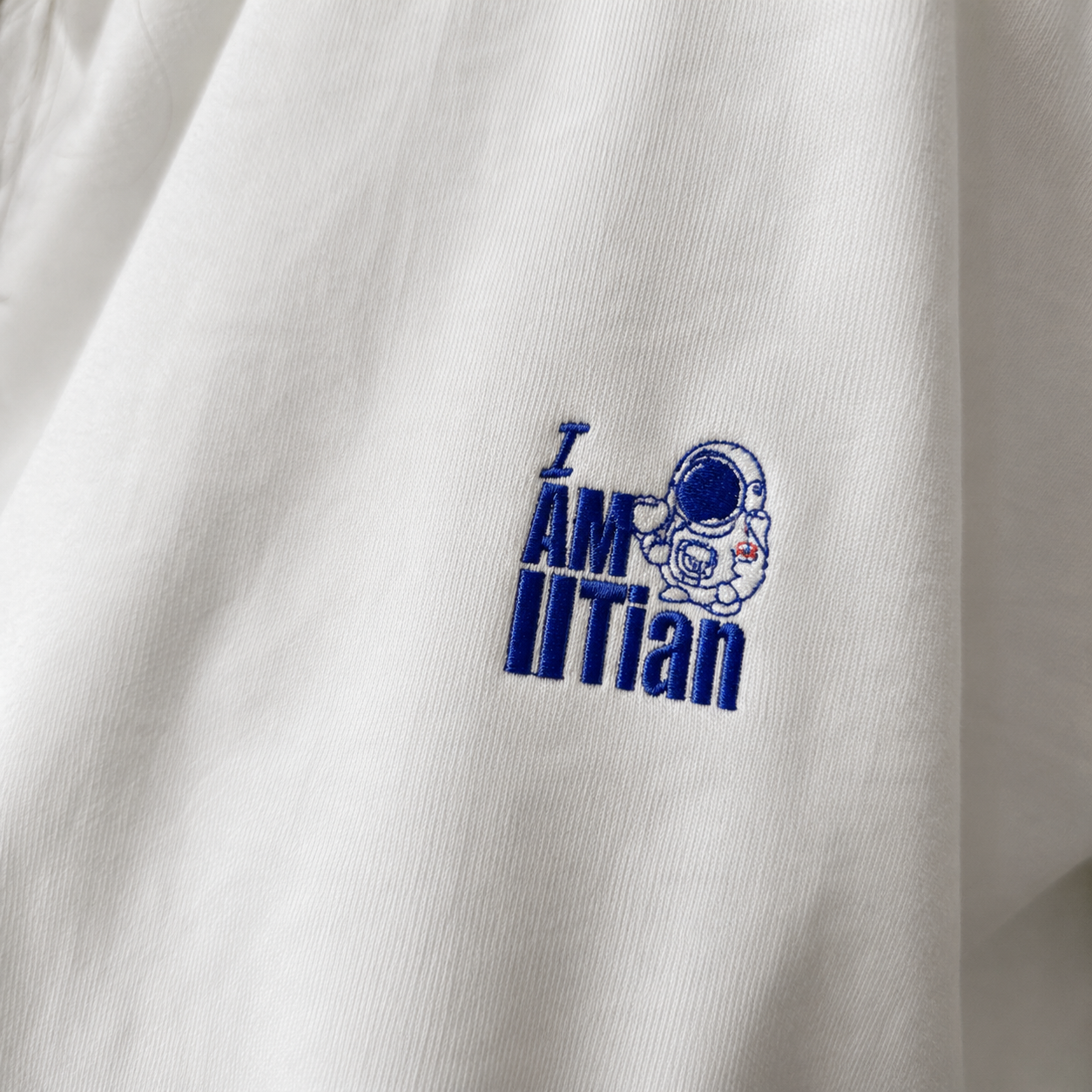 Unisex Oversized Standard T-Shirt